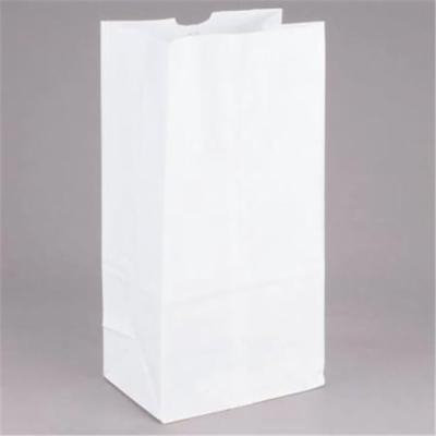 8.25 x 5.31 x 16.13 in. White Paper Bag, 20 lb - Case of 500