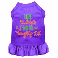 Hope Rudolph Eats Naughty List Screen Print Dog Dress Purple Xs