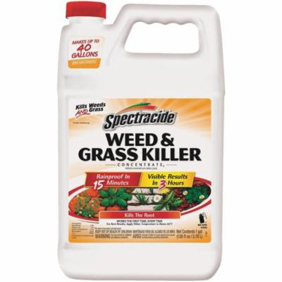Spectracide Weed & Grass Killer