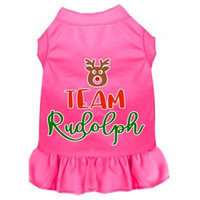 Team Rudolph Screen Print Dog Dress Bright Pink Xxl