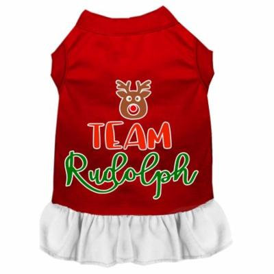 Team Rudolph Screen Print Dog Dress Red With White Med