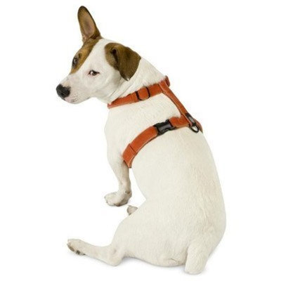 Planet Dog Cozy Hemp Adjustable Harness