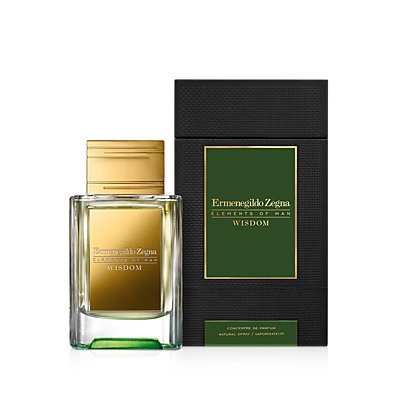 Zegna Elements of Man Strength (EDP)