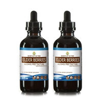 Secrets Of The Tribe Elder Berries Tincture Alcohol-FREE Extract, Organic Elder Berries (Sambucus Nigra) Dried Berry 2x4 oz