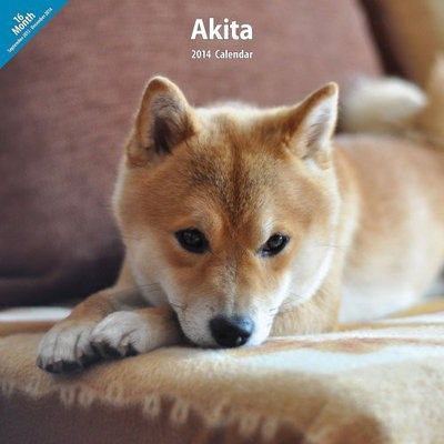 Akita 2014 Wall Calendar