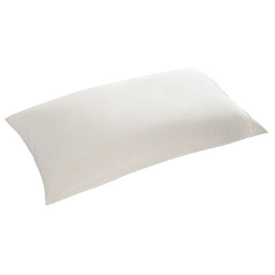 Pillow Company Llc 100% Cotton Buckwheat Hull Green Tea Orange Aromatherapy Night Pillow with Zippered Casing and Certified Organic Filling