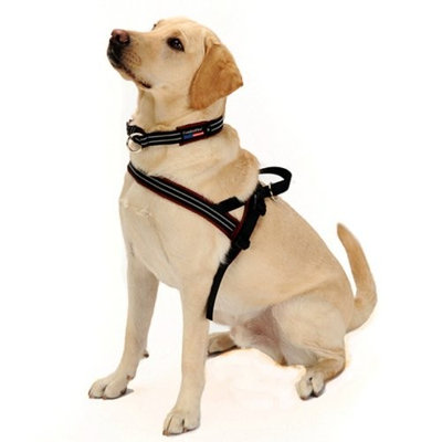 PetPDC ComfortFlex Sport Harness