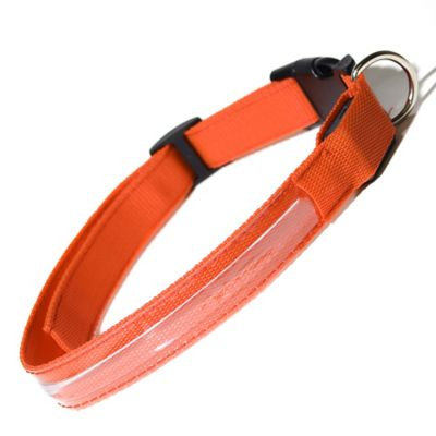 Oxgord PTCL-02-SM-OG Small New Style Pet LED Collar - Orange