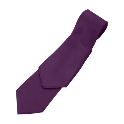Men's Solid Satin Neck Tie and Hankie Set in Berry