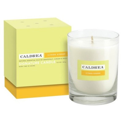 Essentials Collection Signature Boxed Candle Citron Ginger 10.5oz - Caldera®