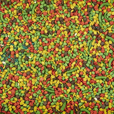 FORTI-DIET Rainbow Fruit Cockatiel Food, 3 lb