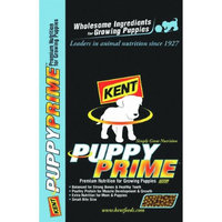 Kent Feeds Puppy Food