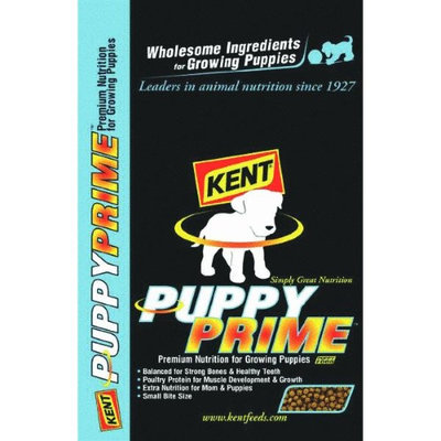 Kent Feeds Puppy Food
