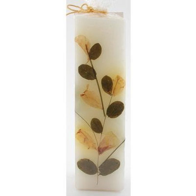 Auroshikha - Square (4-3/4 in. Candles), Eucalyptus, 1 ea