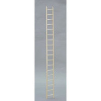 North American Pet BBO22784 Parakeet Ladder