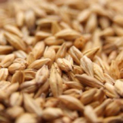 Weyermann Acidulated Uncrushed Malt - 1 lb. Bag
