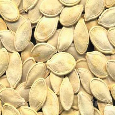 Bulk Seeds Organic Raw Pupkin Seeds 27 Lbs - SPu653667