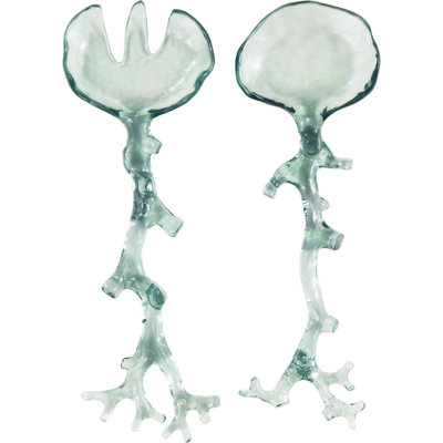 Hoffmaster Group 325939 Translucent Teal Salad Servers - Translucent Teal Pack of 6 - 2 per Pack