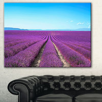 Design Art Designart Lavender Flower Blooming Fields AbstractCanvas Artwork