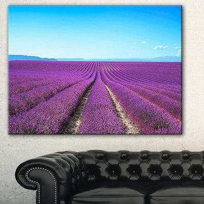 Design Art Designart Lavender Flower Blooming Fields AbstractCanvas Artwork