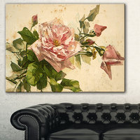 Design Art Designart Pink Flower Illustration Floral PaintingCanvas