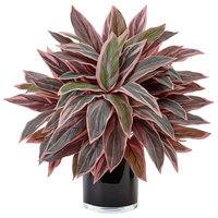 Asstd National Brand Caladium Artificial Plant in Black Glossy Planter