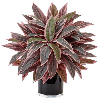 Asstd National Brand Caladium Artificial Plant in Black Glossy Planter