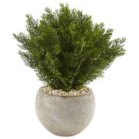 Asstd National Brand 2 Cedar Artificial Plant in Sand Colored Bowl