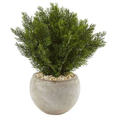 Asstd National Brand 2 Cedar Artificial Plant in Sand Colored Bowl