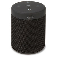 iLive Portable Speaker