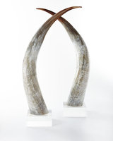 Ankole Large Horns, Set of 2