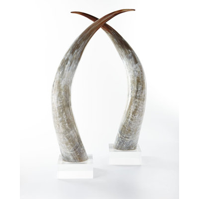 Ankole Large Horns, Set of 2