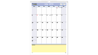 At-A-Glance® 2016 - 2017 QuickNotes® Academic Monthly Wall Calendar (PM53 17) - Academic Wall Calendars