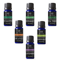 Radha Top 6 100% Pure & Therapeutic Grade Essential Oils Kit