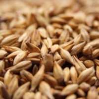 Weyermann CARAMUNICH Type 3 Uncrushed Malt - 1 lb. Bag