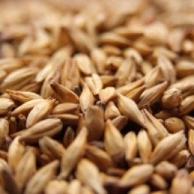 Weyermann CARAMUNICH Type 3 Uncrushed Malt - 1 lb. Bag