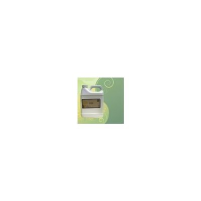 Hazelnut Oil - 100% Pure and Organic 8 Oz