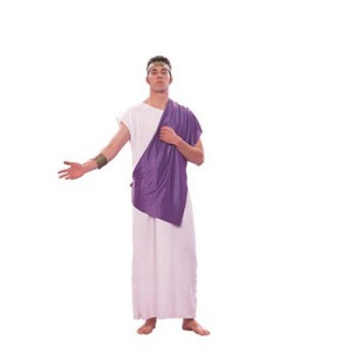 RG Costumes 80145 Roman Senator Costume - Size Adult Standard
