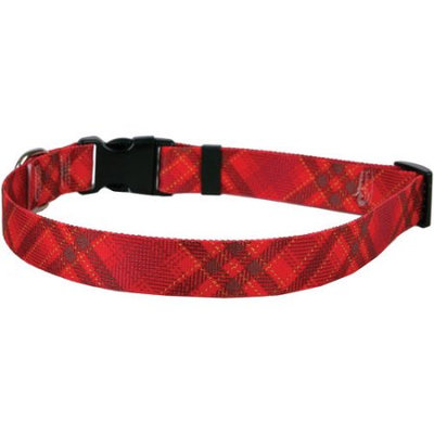 Yellow Dog Design Yellow Dog Collar Small 10