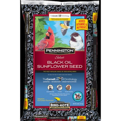 Pennington Select Black Oil Sunflower Seed Wild Bird Feed, 40 lbs