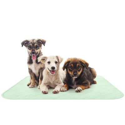 Trademark Global Games Puppy Pads Pet Training Mat- Quick Absorb, Waterproof, Machine Washable, Reusable- Dog Housebreaking, Training, Crate Supplies, 34â x 36â By PETMAKER