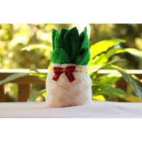 Couture Towel CT-HGPA001201 Pineapple Towel Pale Yellow & Green
