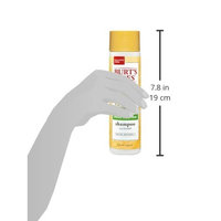 Burt's Bees More Moisture Baobab Shampoo, Sulfate-Free Shampoo - 10 Ounce Bottle (Pack of 3)