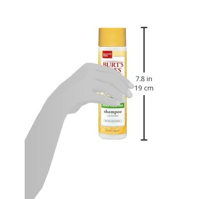 Burt's Bees More Moisture Baobab Shampoo, Sulfate-Free Shampoo - 10 Ounce Bottle (Pack of 3)
