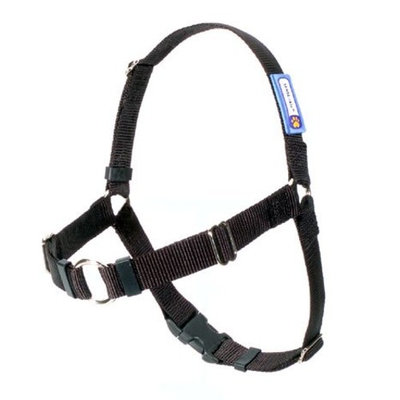 SENSE-ation No-Pull Dog Harness - Black