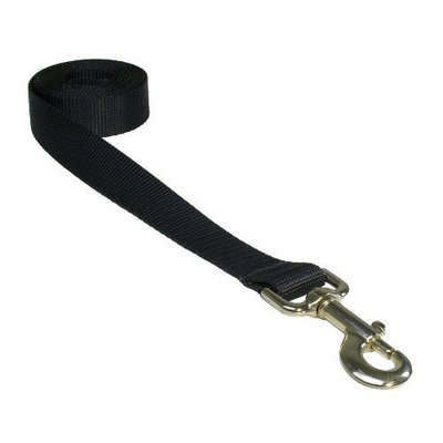 Sassy Dog Wear 1