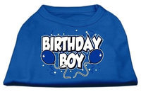 Ahi Birthday Boy Screen Print Shirts Blue Med (12)