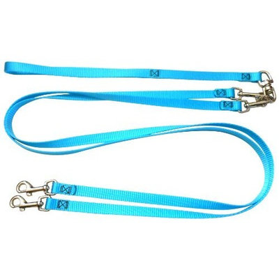 Pet Walker-Plus Pet Leash for Dog, Medium, Turquoise