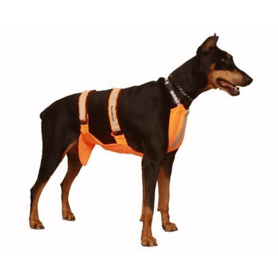 Sammy Doo Sport Shield Bright Orange Pet Hunting Hiking Walking Vest