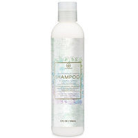 Natural Sulfate Free Moisturizing Shampoo - Extra Nourishing & Hydrating Shampoo for Luxurious Healthier Hair With Argan Oil Kiwi Kukui Moringa Seed & More for Thin Frizzy Dry Hair